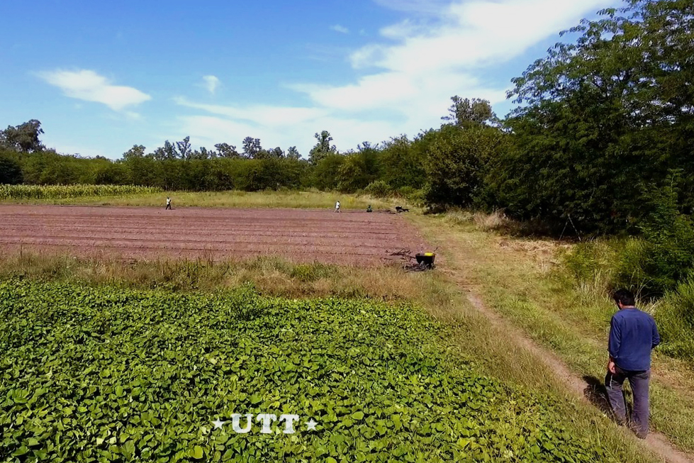 En la colonia 20 de abril hay 54 hectáreas destinadas a la producción de frutas y verduras agroecológicas.